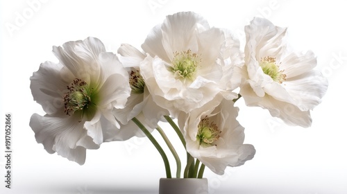 Elegant white flowers in vase displaying delicate petals and green centers.