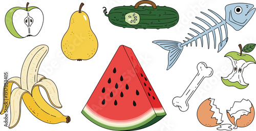 Hand drawn vector illustration set of fresh fruits and food scraps including watermelon banana apple pear cucumber fish bone and eggshells.