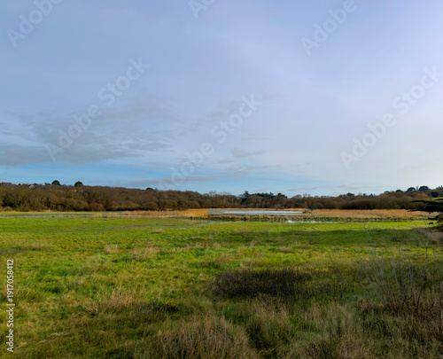 Anse du Guesclin, Saint-Coulomb, Saint-Malo - prairie inondée