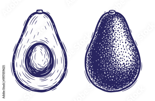 Grunge texture Hand drawn illustration of whole and halved avocado in blue ink on white background Vintage Style