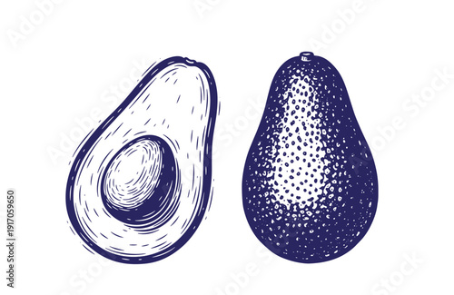 Grunge texture hand drawn illustration of whole and halved avocado with pit on white background for food and nutrition concepts Vintage Style