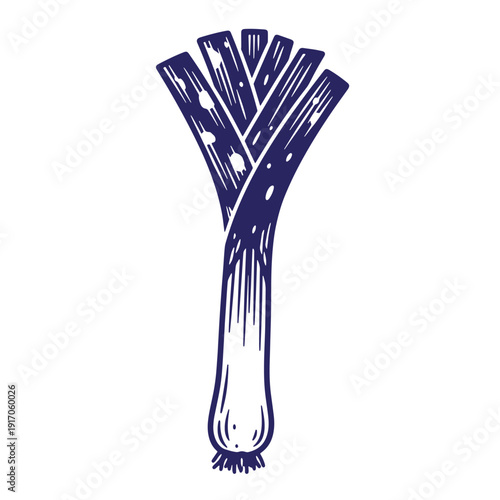 Grunge texture a bunch of leeks with green leaves on top and white base  fresh vegetable Vintage Style