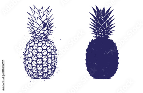 Grunge texture Pineapple fruit illustrations in two different styles on white background Vintage Style