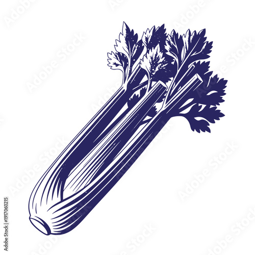 Grunge texture A drawing of a celery stalk with leaves on a white background  fresh vegetable Vintage Style