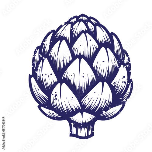 Grunge texture Artichoke illustration in a vintage engraved style on white background  a large thistle like vegetable Vintage Style