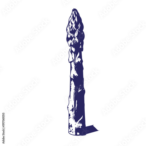 Grunge texture asparagus spear vegetable illustration  a single blue asparagus spear standing upright with a shadow on white Vintage Style
