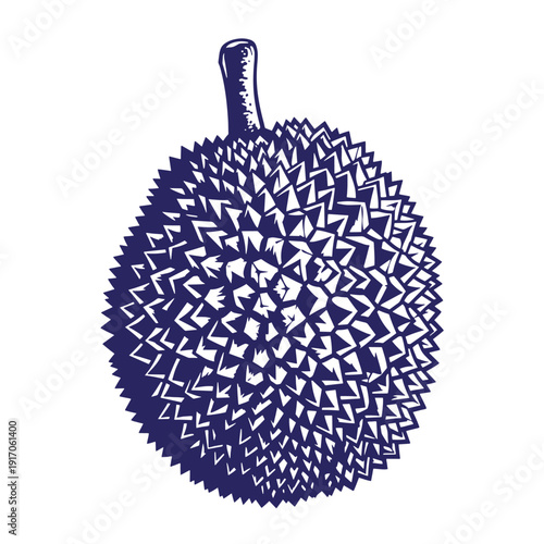 Grunge texture Blue durian fruit illustration with spiky skin and stem on white background Vintage Style