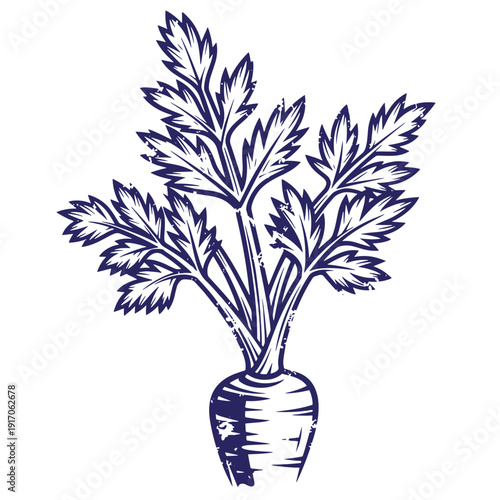 Grunge texture Drawing of a celery root with leafy greens on top  fresh vegetable illustration Vintage Style