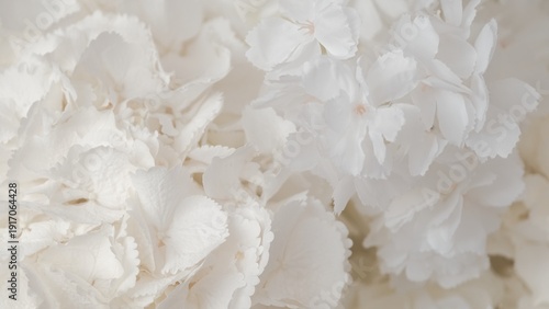 Extreme close-up of soft white fabric flower petals creating a delicate floral texture background