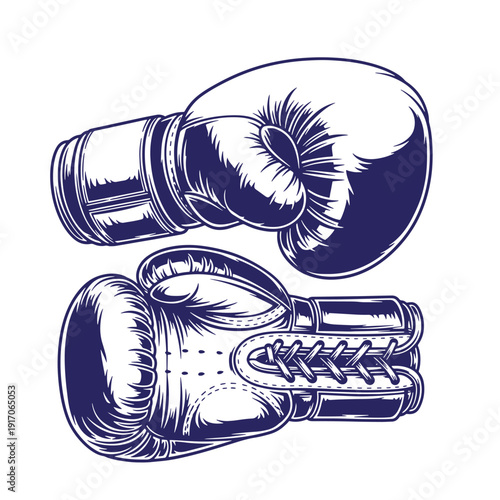 Boxing gloves pair in vintage style for sports and fitness activities  boxing equipment