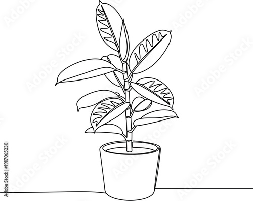 Minimalist continuous line drawing showcasing a beautiful rubber tree plant housed within a simple, modern ceramic pot offering natural home decor style.