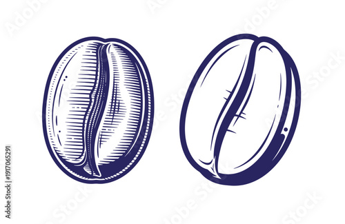 coffee beans illustration with detailed texture and shading in a sketch style for culinary or beverage design