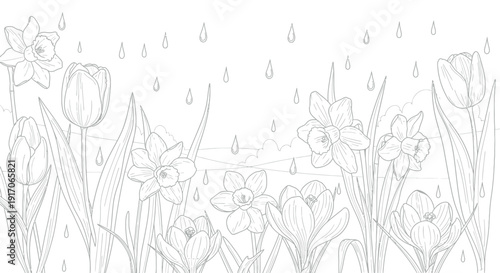 Detailed black and white line art illustration depicting several blooming spring flowers like tulips daffodils and crocuses receiving gentle spring rain drops in an outdoor garden setting.