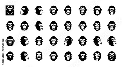 Set of Ape Vector Illustration