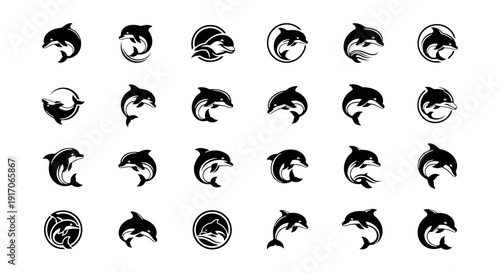 Set of Dolphin Vector Illustration