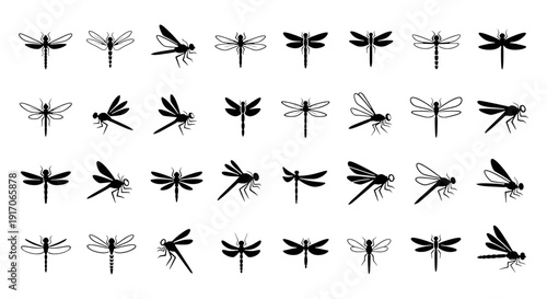 Set of Dragonfly Vector Illustration