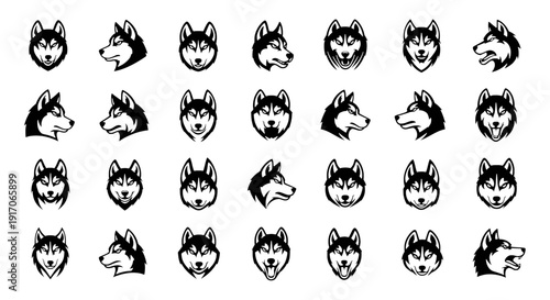Set of Husky Vector Illustration