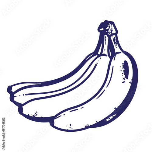 Grunge texture Drawing of three yellow bananas with blue lines on white background  fruit still life Vintage Style
