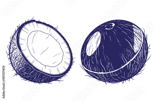 Grunge texture A drawing of a whole and a halved coconut on a white background Vintage Style