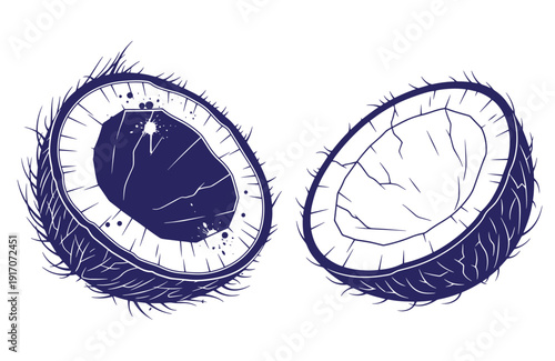 Grunge texture Coconut halves with hairy skin and cracked interiors on white background Vintage Style