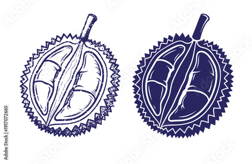 Grunge texture Durian fruit illustrations in blue color on white background  tropical and exotic fruit with spiky skin and creamy flesh  fruit with thorns Vintage Style