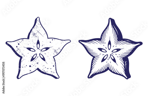 Grunge texture starfish illustrations in blue ink on white background  marine life designs Vintage Style