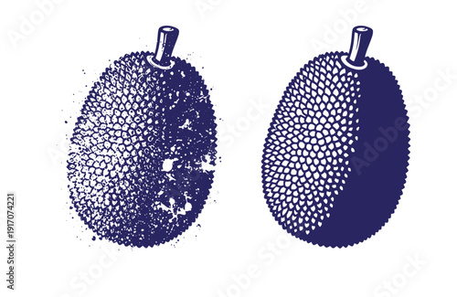 Grunge texture Two blue illustrations of jackfruit with different textures on white background Vintage Style