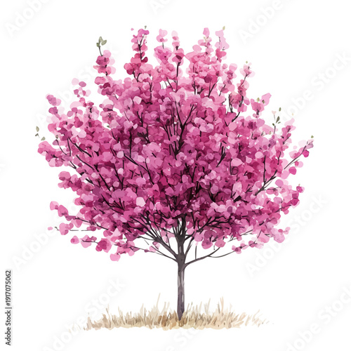Blooming Apple Orchard Trees, clipart vector in watercolor style with flowing brushwork, isolated on a white background.