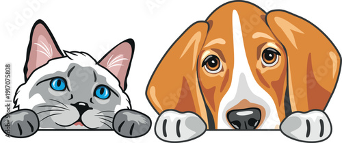 Peeking Siamese cat and Foxhound dog. Vector.eps