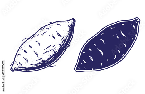 Grunge texture Drawing of two tamarind fruits in black and white illustration  one dark and one light Vintage Style
