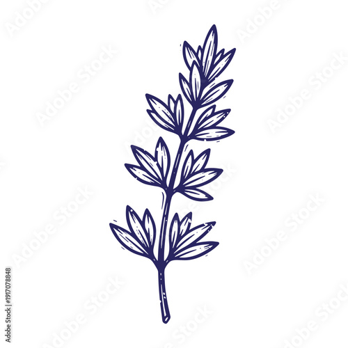 Grunge texture A stylized dark blue illustration of a plant branch with multiple leafy sections on white background Vintage Style