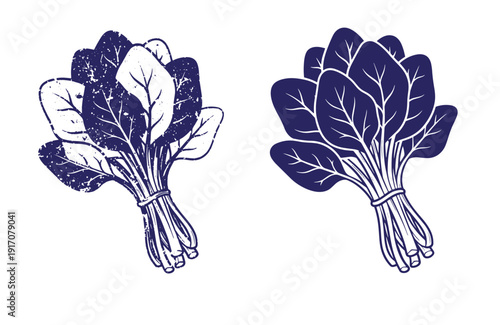 Grunge texture Two bunches of leafy greens tied with string on white background  healthy food and vegetable illustration Vintage Style