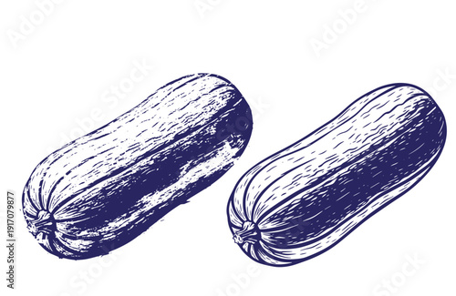 Grunge texture Two purple zucchinis on white background  fresh vegetable illustration Vintage Style