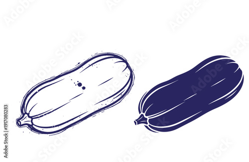 Grunge texture Two zucchinis with artistic illustration in dark blue and white colors on clean background Vintage Style