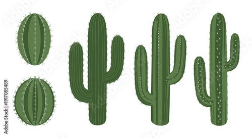 Cactus vector icon set. Includes various green cactus and prickly pear illustrations. Created in flat style with green color palette.