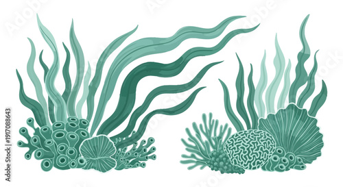 Seaweed and coral ocean plants vector illustration. Includes seaweed, coral, sea fans. Created in green colored style with aquatic palette.