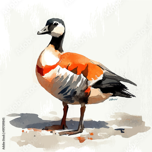 Goose, illustration watercolor artwork with subtle gradients and elegant contours, isolated on a white background.