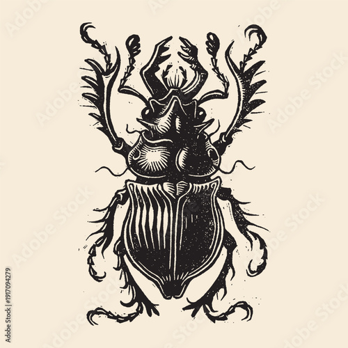 Striking black and white illustration of a large scarab beetle with ornate details and stylized wings, vintage insect art.