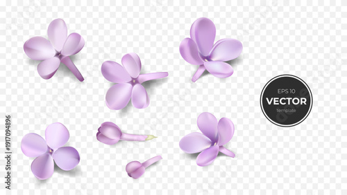 A collection of delicate lilac flowers in various arrangements.