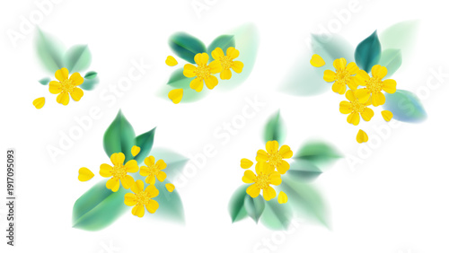 Bright yellow flowers with green leaves on a white background, creating a fresh vibe.