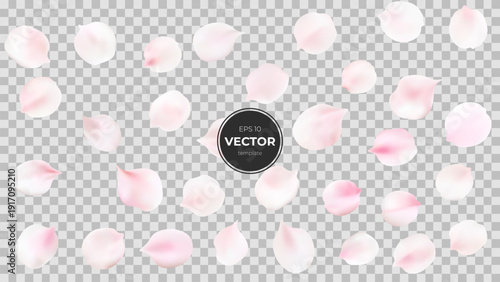 Soft pink floral petals in a delicate, airy design