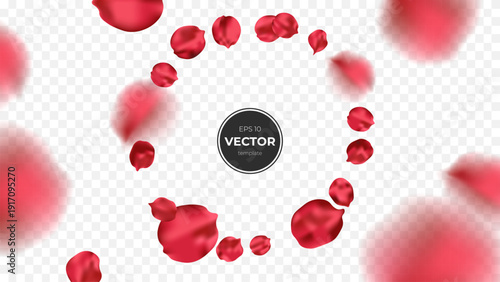 Elegant rose petals creating a romantic circular frame on a soft background.