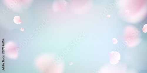 Soft and delicate pastel petals floating against a serene blue background.