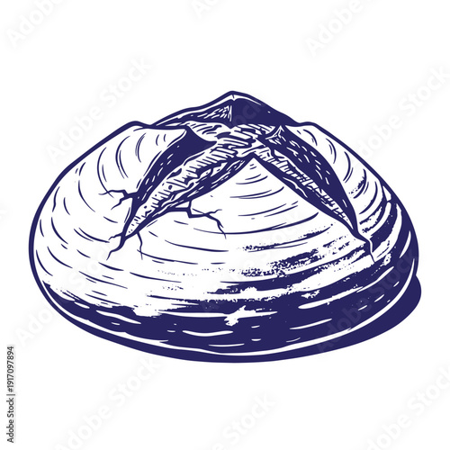Grunge texture A dark blue illustration of a clam with its shell open showing the inside  seafood animal Vintage Style