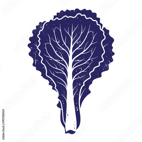 Grunge texture Blue illustration of a cabbage leaf with white lines on white background  vegetable graphic Vintage Style