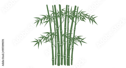 Bamboo Plant Botanical Vector Green bamboo plant flat vector illustration with detailed leaves and stems, minimalist botanical design for eco branding, spa logo, wellness poster and nature themed grap