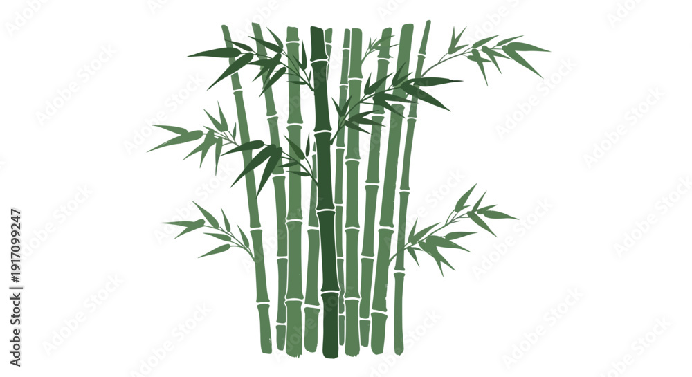 Fototapeta premium Vector illustration of a bunch of green bamboo stalks with leaves isolated on white background