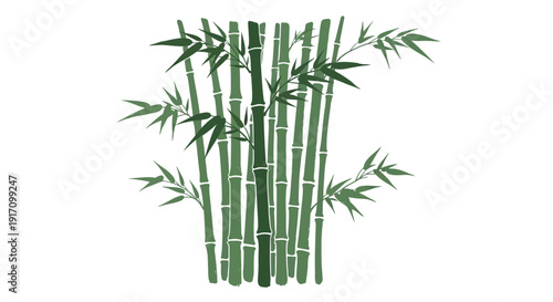 Vector illustration of a bunch of green bamboo stalks with leaves isolated on white background