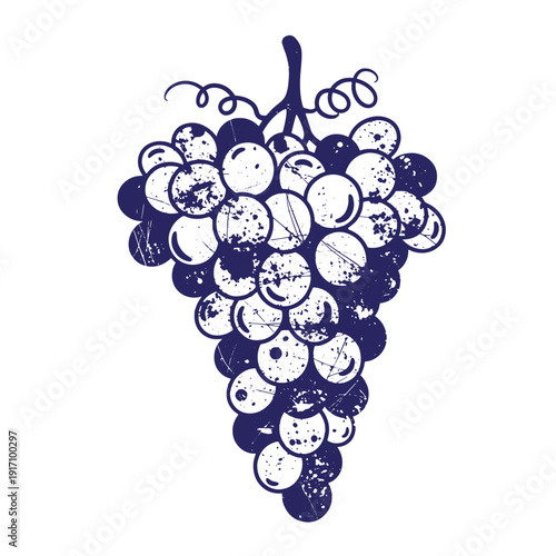 Grunge texture Grapes bunch illustration with grunge effect on white background  purple fruit cluster Vintage Style
