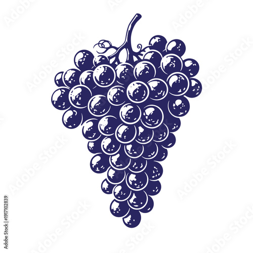 Grunge texture A bunch of grapes with a stem on white background  fresh and juicy fruit Vintage Style